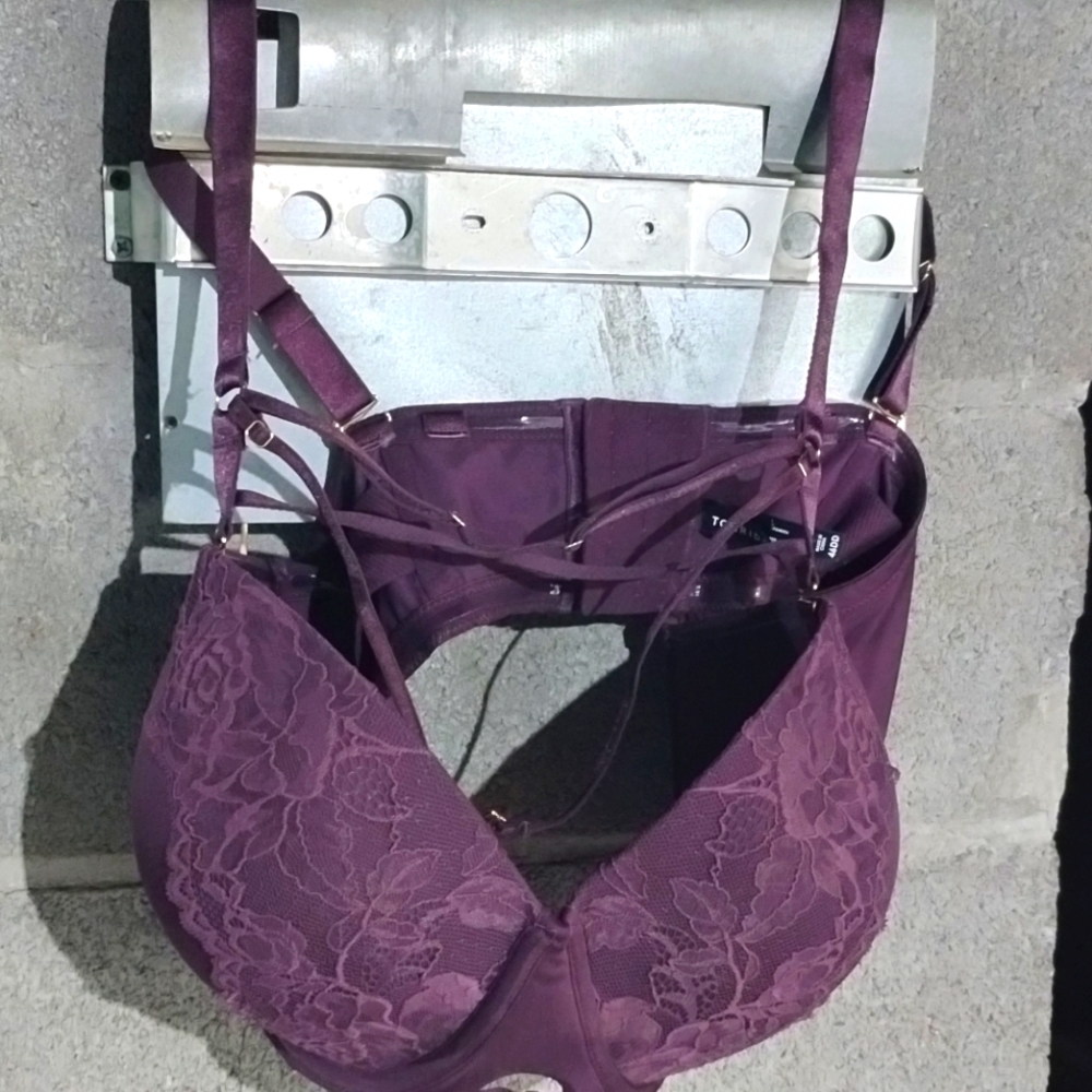 Torrid curve 46dd
